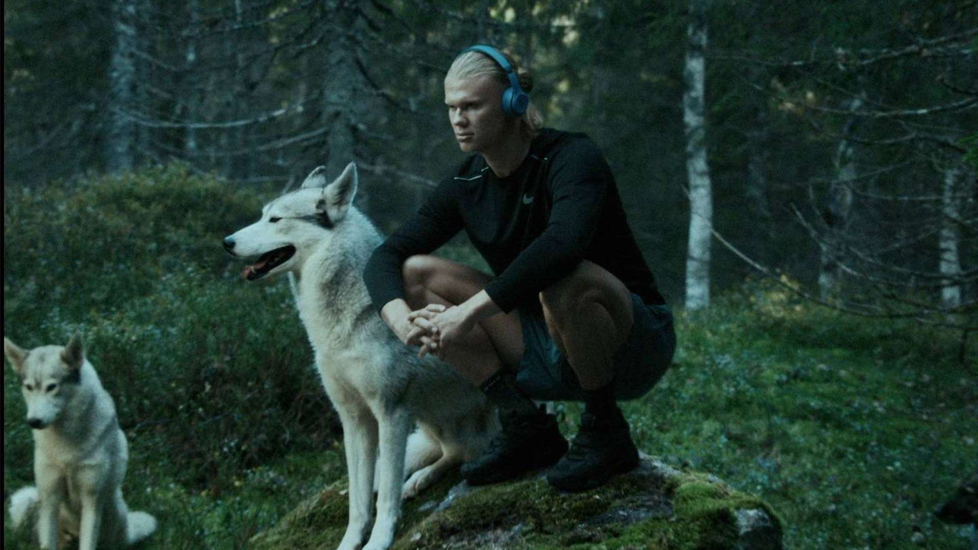 斷力以及出 斷力以及出