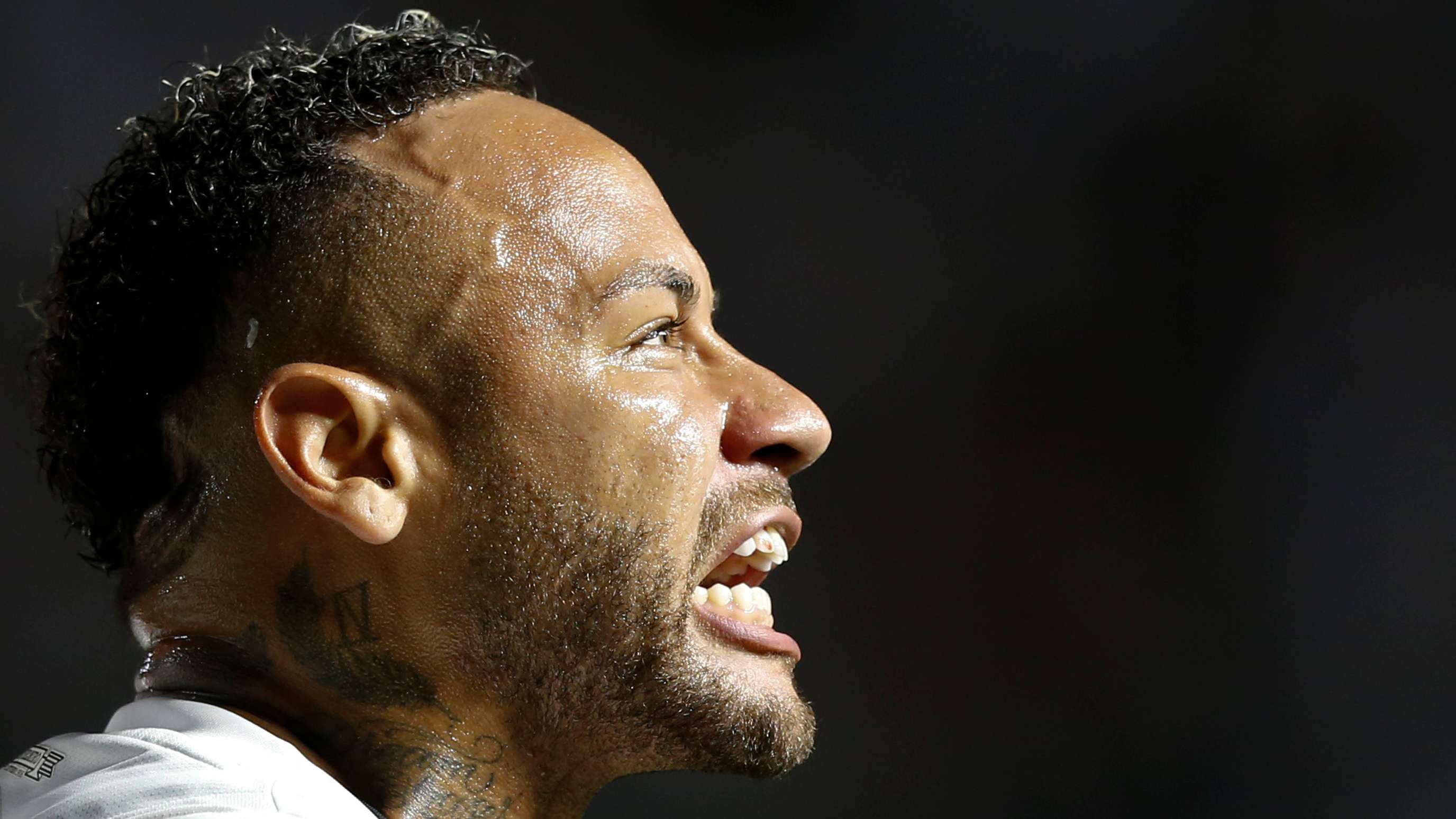 体系和后备 体系和后备